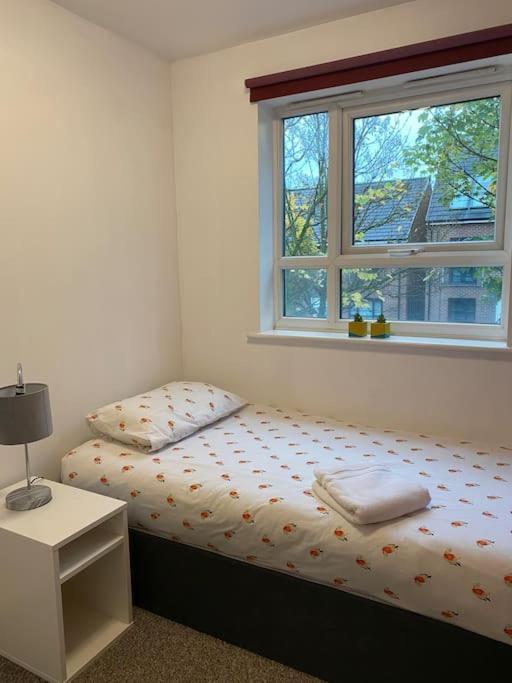 Cheerful 4-bedroom House With Multiple Car Parking *